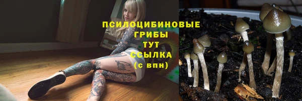 прущая мука Алексеевка